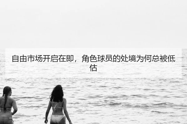 自由市场开启在即，角色球员的处境为何总被低估